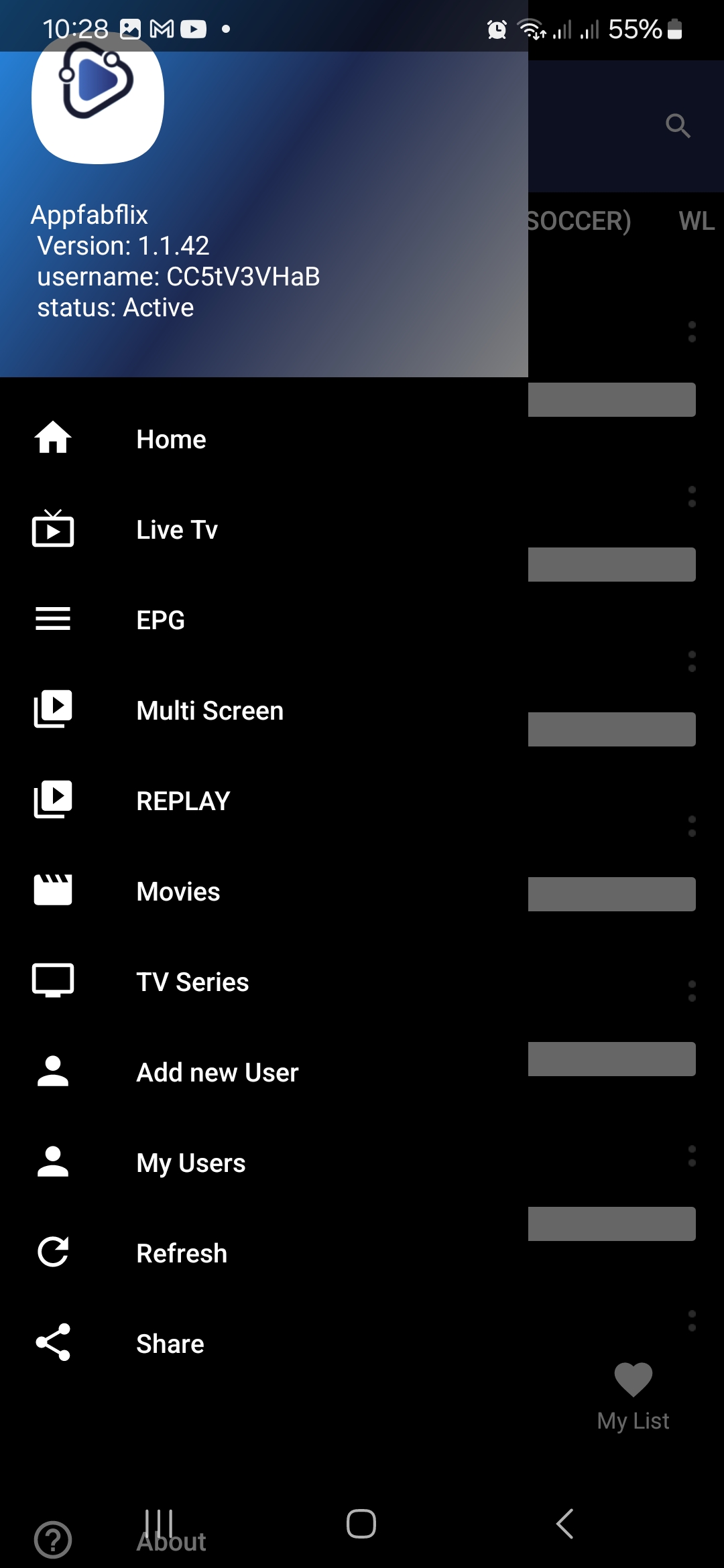 Movie selection on AppFabFlix phone view